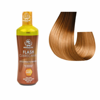 Tonico Capilar Flash Cubre Canas Herbacol X 240
